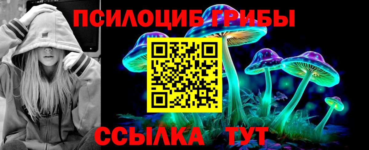 Серпухов  наркотики  Вход с VPN  Псилоцибиновые грибы Psilocybine cubensis 